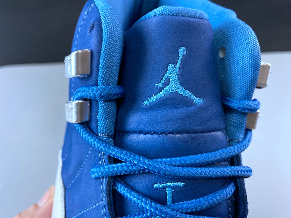 Air Jordan 12 130690-404